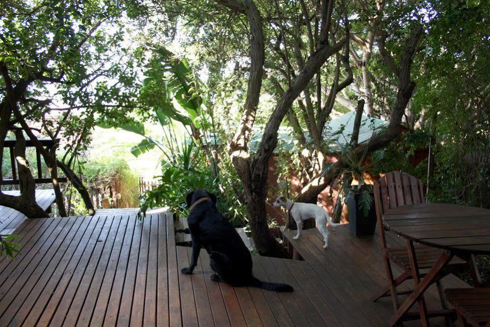 Zen Guesthouse Jeffreys Bay Exterior foto
